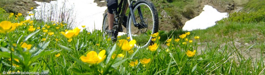 What, where, when. 2014 lift openings Spring, because there's flowers and snow in the same shot